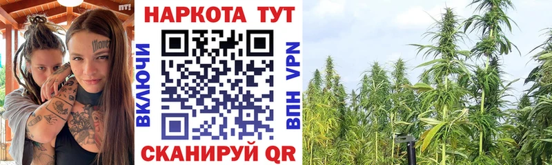 Виды наркотиков купить Осинники ЭКСТАЗИ  КОКАИН  Амфетамин  ГАШ  Каннабис 
