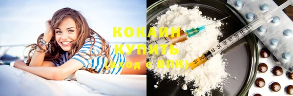 индика Нягань