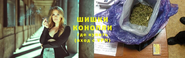 индика Нягань
