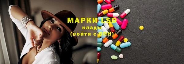 индика Нягань