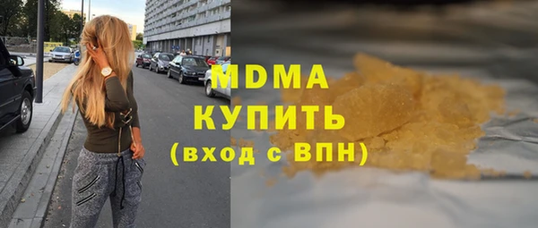индика Нягань