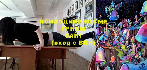индика Нягань