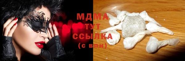 индика Нягань