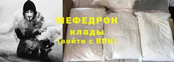 индика Нягань