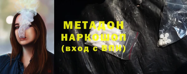индика Нягань