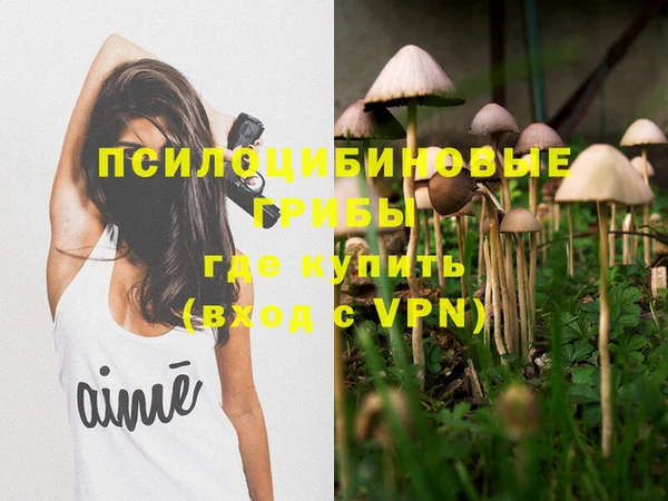 a pvp Няндома