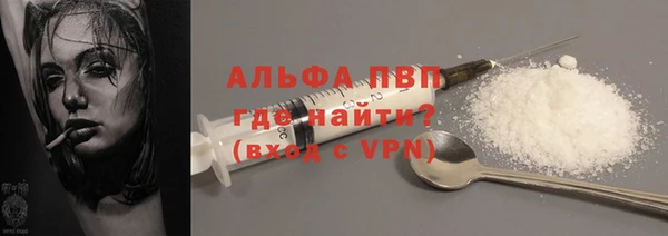 индика Нягань