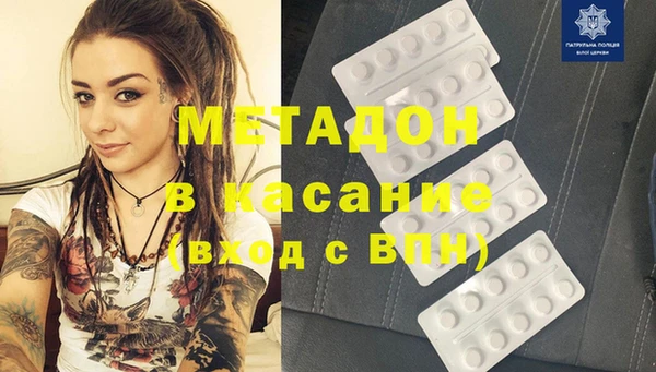 индика Нягань