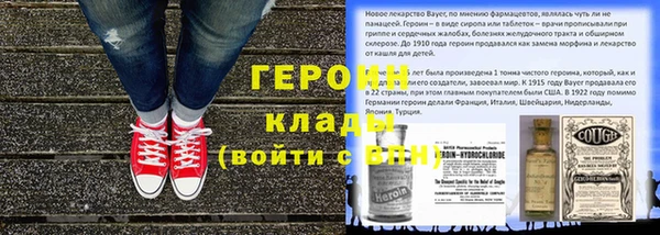 индика Нягань
