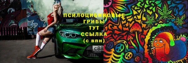 индика Нягань