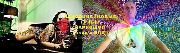 a pvp Няндома