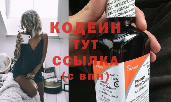 индика Нягань