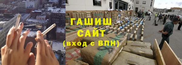 индика Нягань