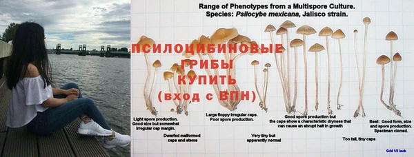 синтетический гашиш Всеволожск
