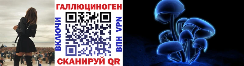 Галлюциногенные грибы Psilocybe  Осинники 